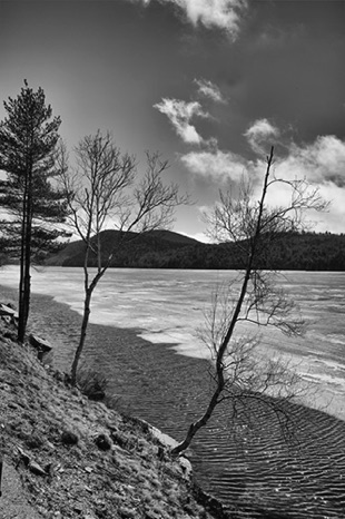 Wind on The Water BW - NHP221b